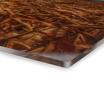 U R There Photography Garner Road Hidden White Rustic Farmhouse Acrylic Wall Print