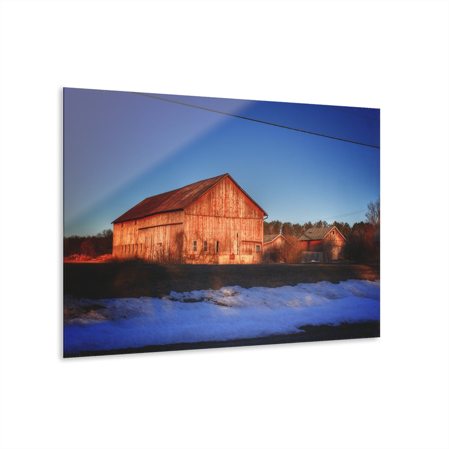 U R There Photography M-15 Reds in Winter Rustic Farmhouse Acrylic Wall Print