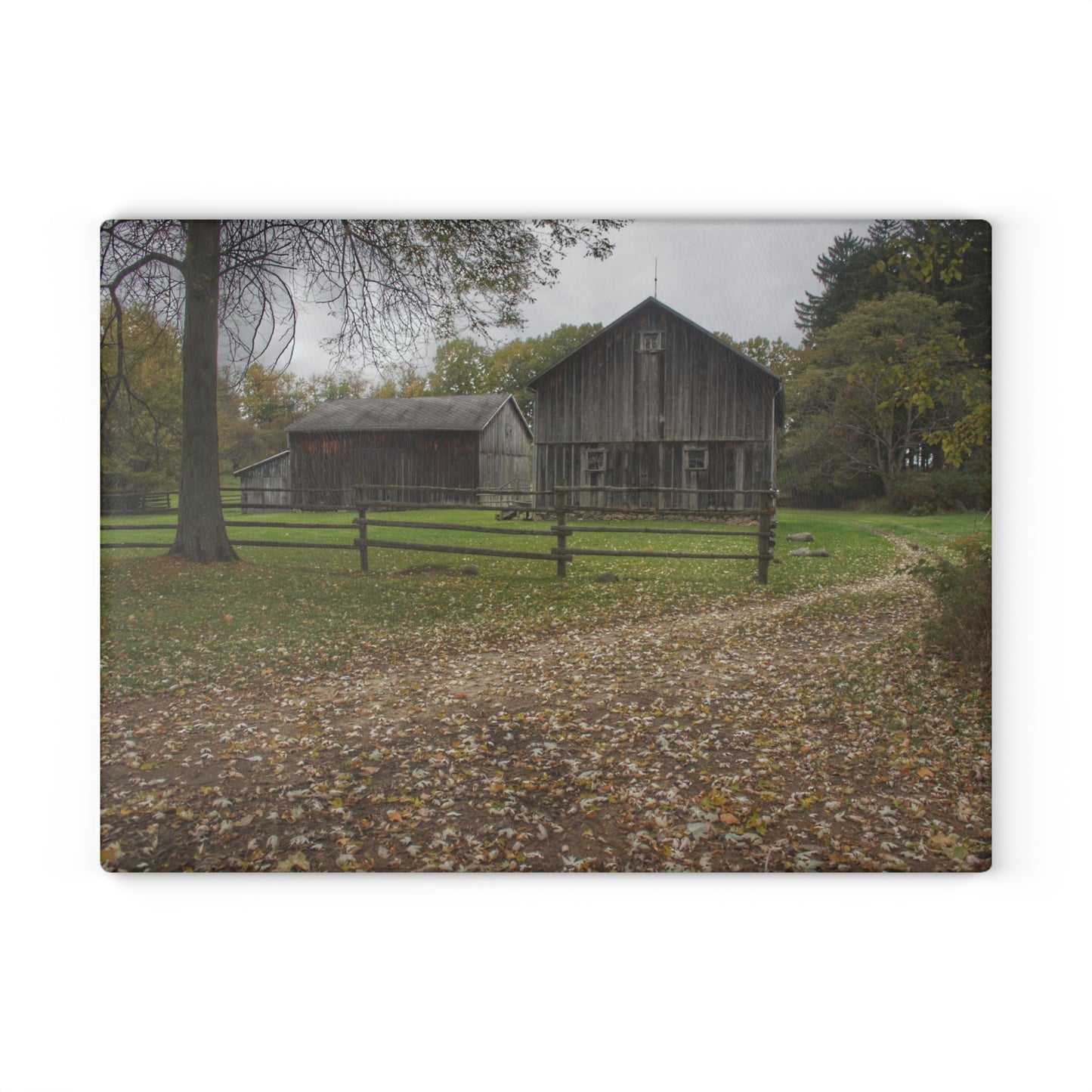 U R There Photography Wilder Road Greys II Rustic Farmhouse Tempered-Glass Cutting Board