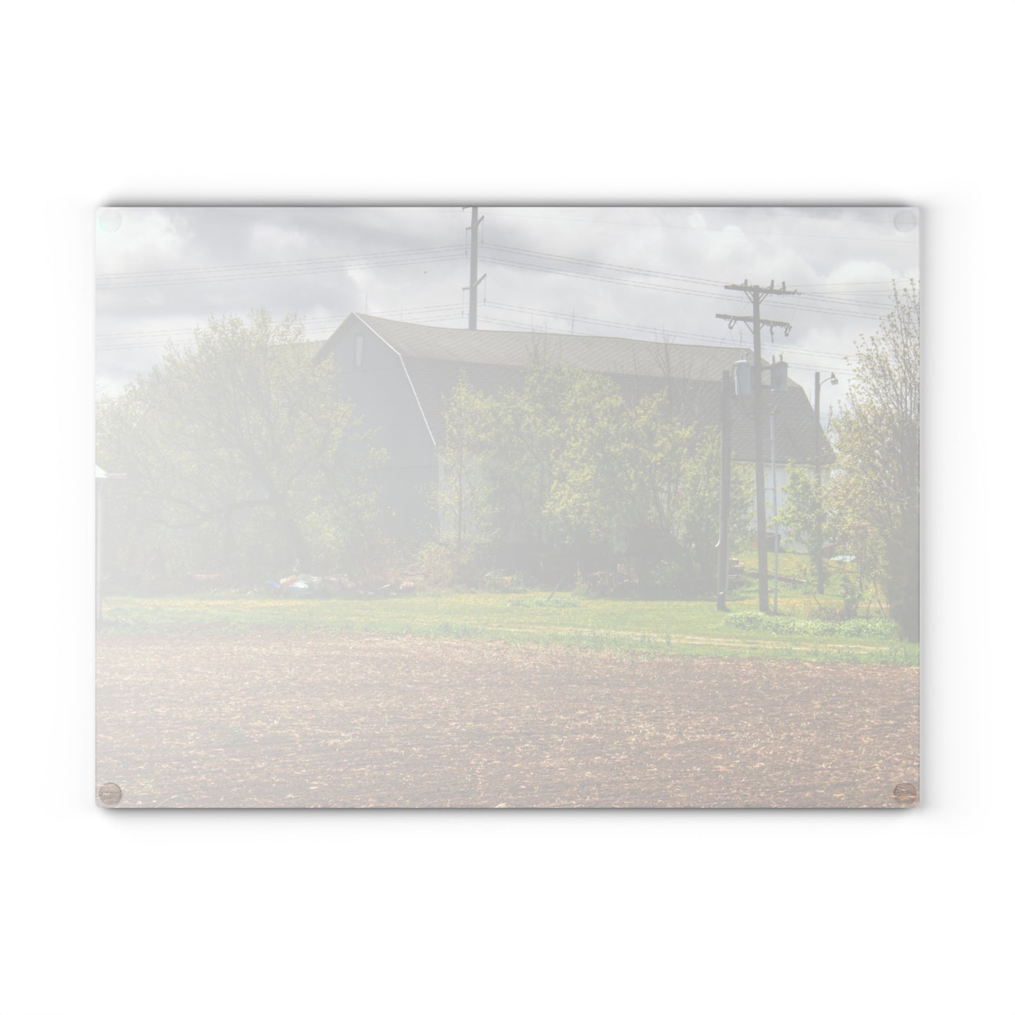 U R There Photography Rescue Road Old Grey Rustic Farmhouse Tempered-Glass Cutting Board