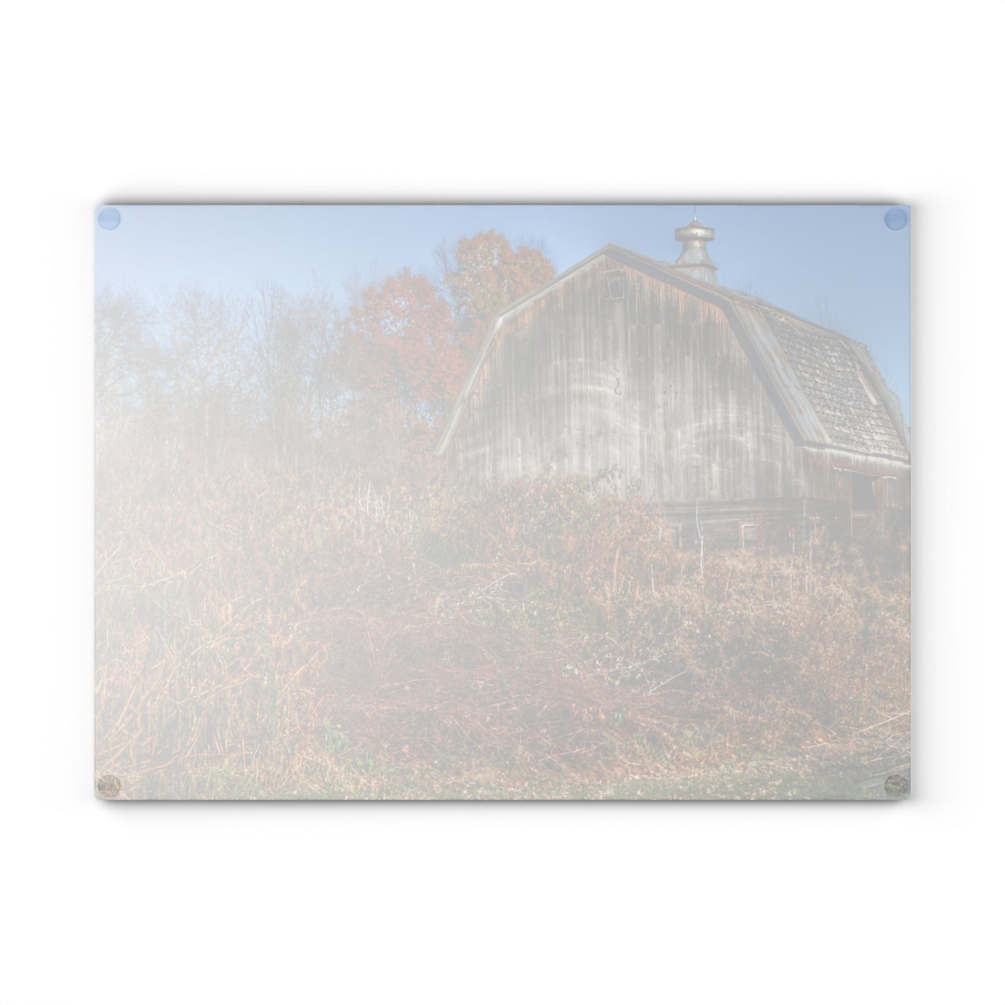 U R There Photography Vassar Road Hidden Grey II Rustic Farmhouse Tempered-Glass Cutting Board