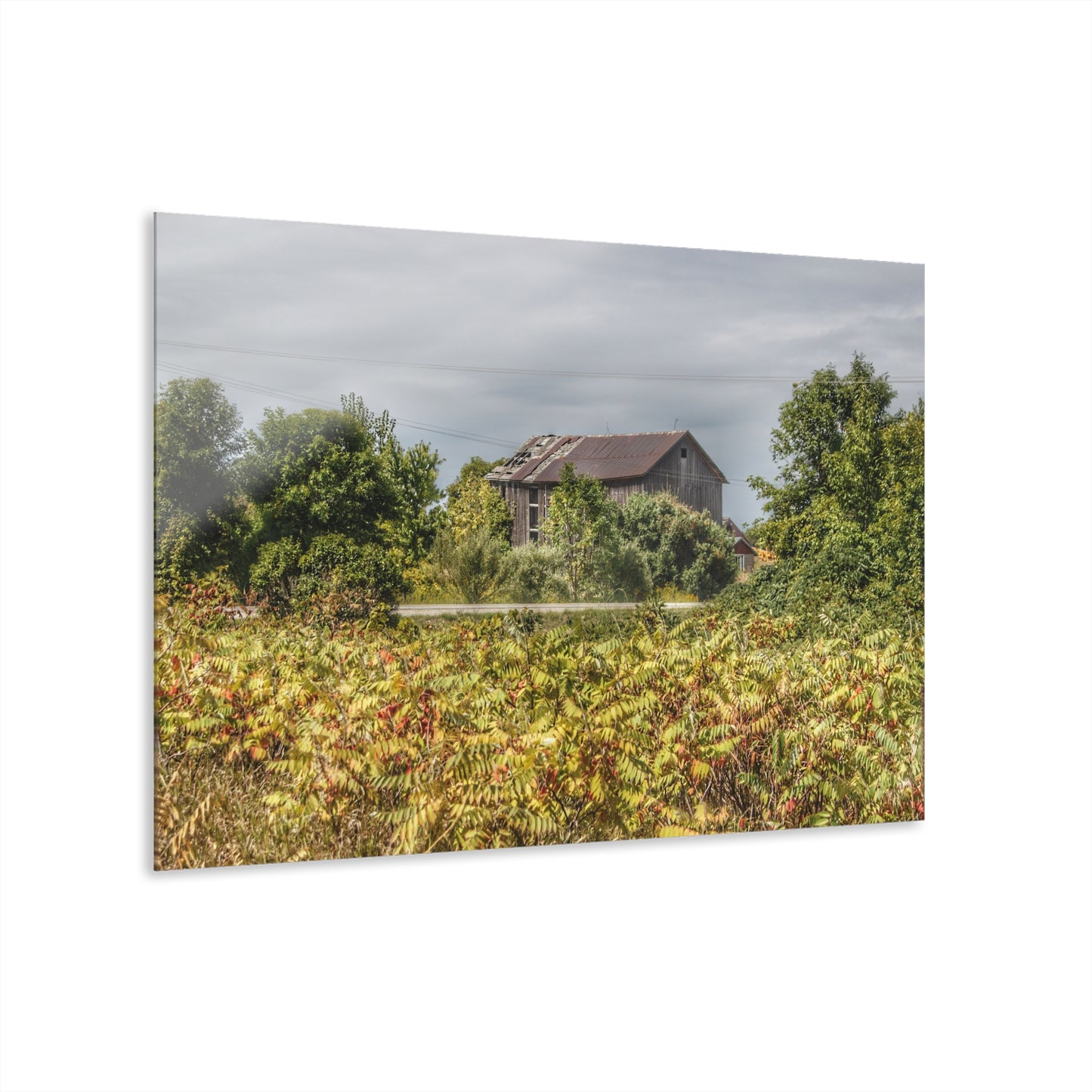 U R There Photography Van Dyke Grey Rustic Farmhouse Acrylic Wall Print