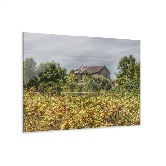 U R There Photography Van Dyke Grey Rustic Farmhouse Acrylic Wall Print