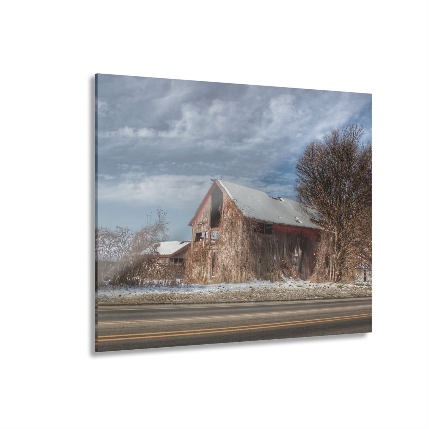 U R There Photography Almont Van Dyke Red II Rustic Farmhouse Acrylic Wall Print 14 "x 11"
