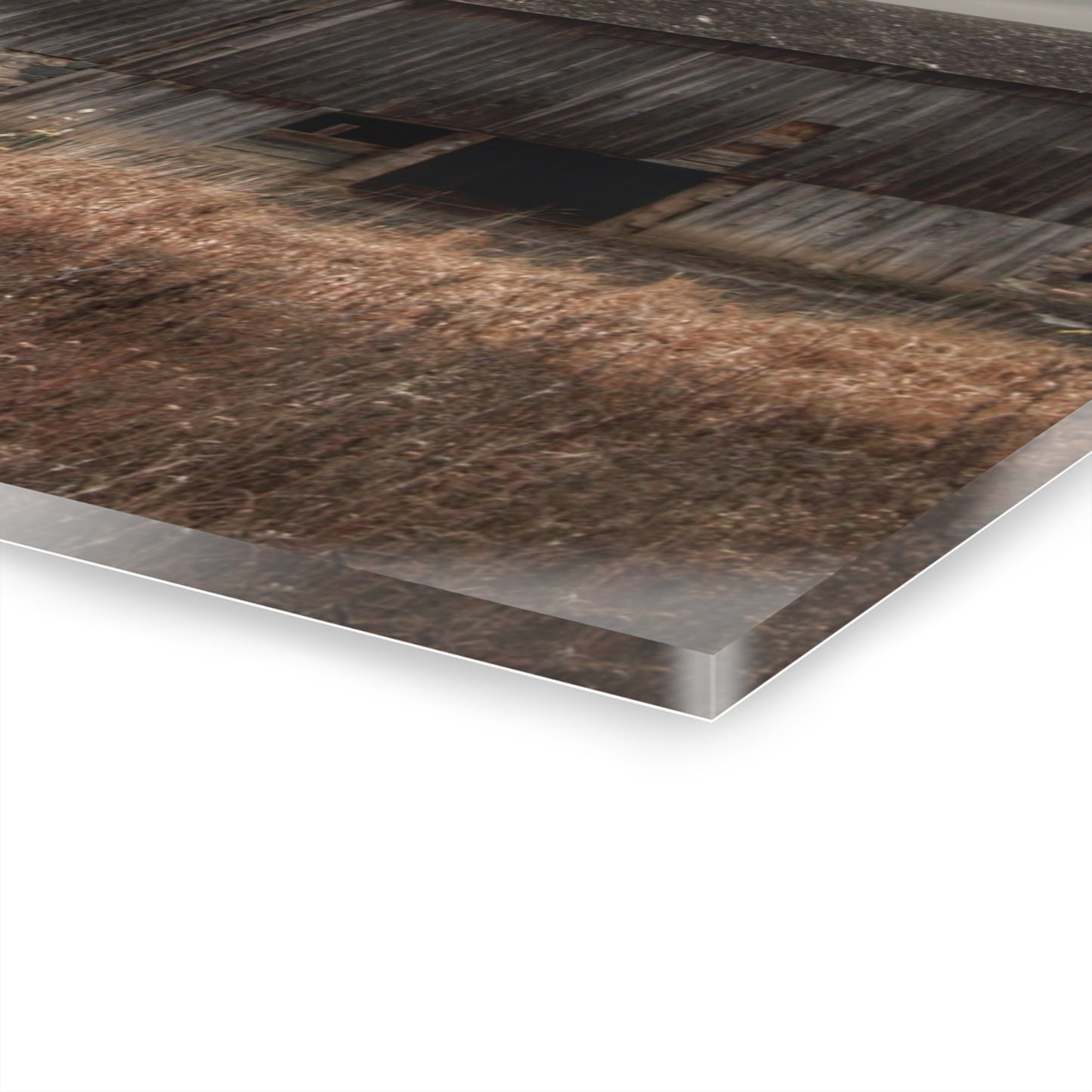 U R There Photography Majestic Grey Rustic Farmhouse Acrylic Wall Print