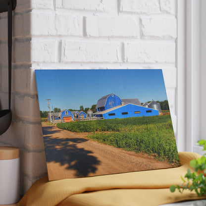 U R There Photography Kidder Road Blues I Rustic Farmhouse Tempered-Glass Cutting Board