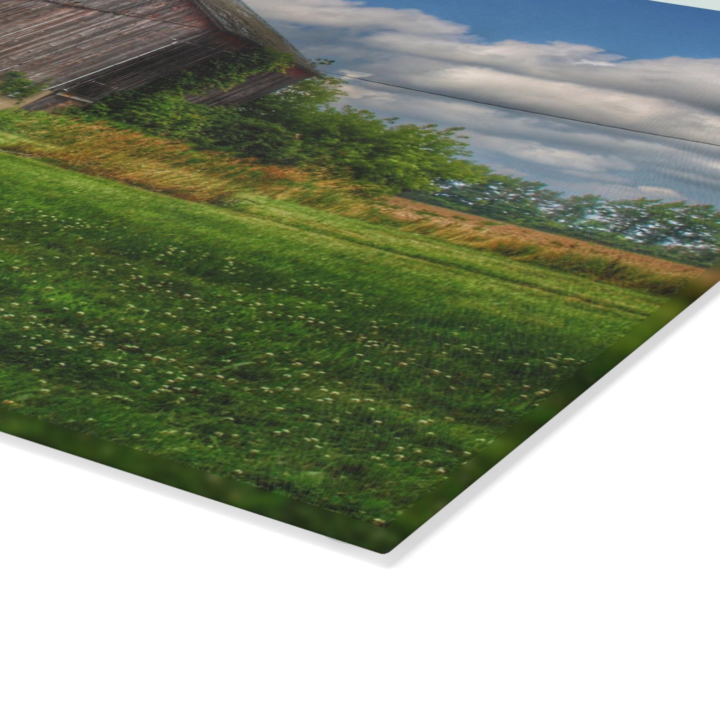 U R There Photography Bohms Road Grey II Rustic Farmhouse Tempered-Glass Cutting Board