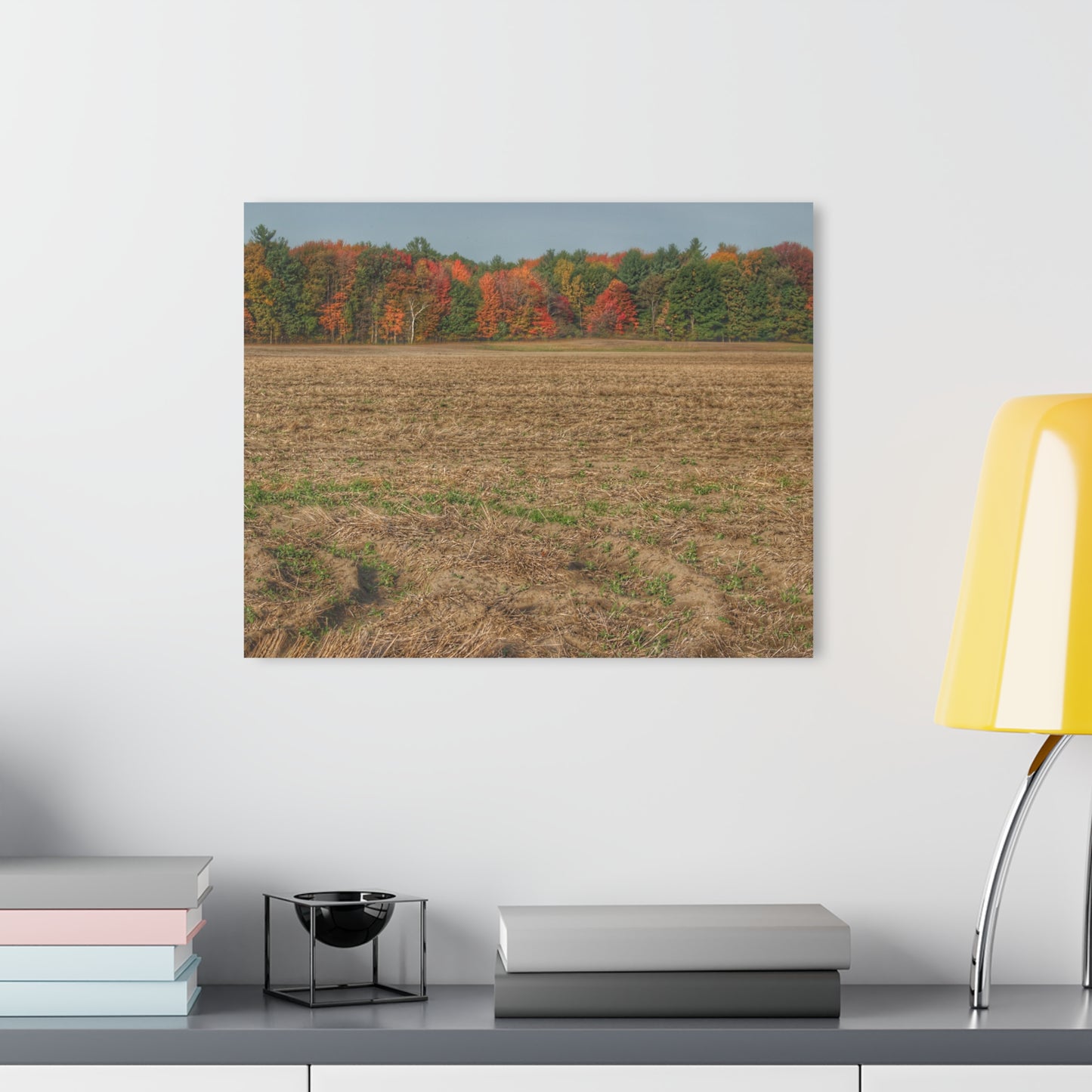 U R There Photography Fall on Murphy Lake III Rustic Farmhouse Acrylic Wall Print