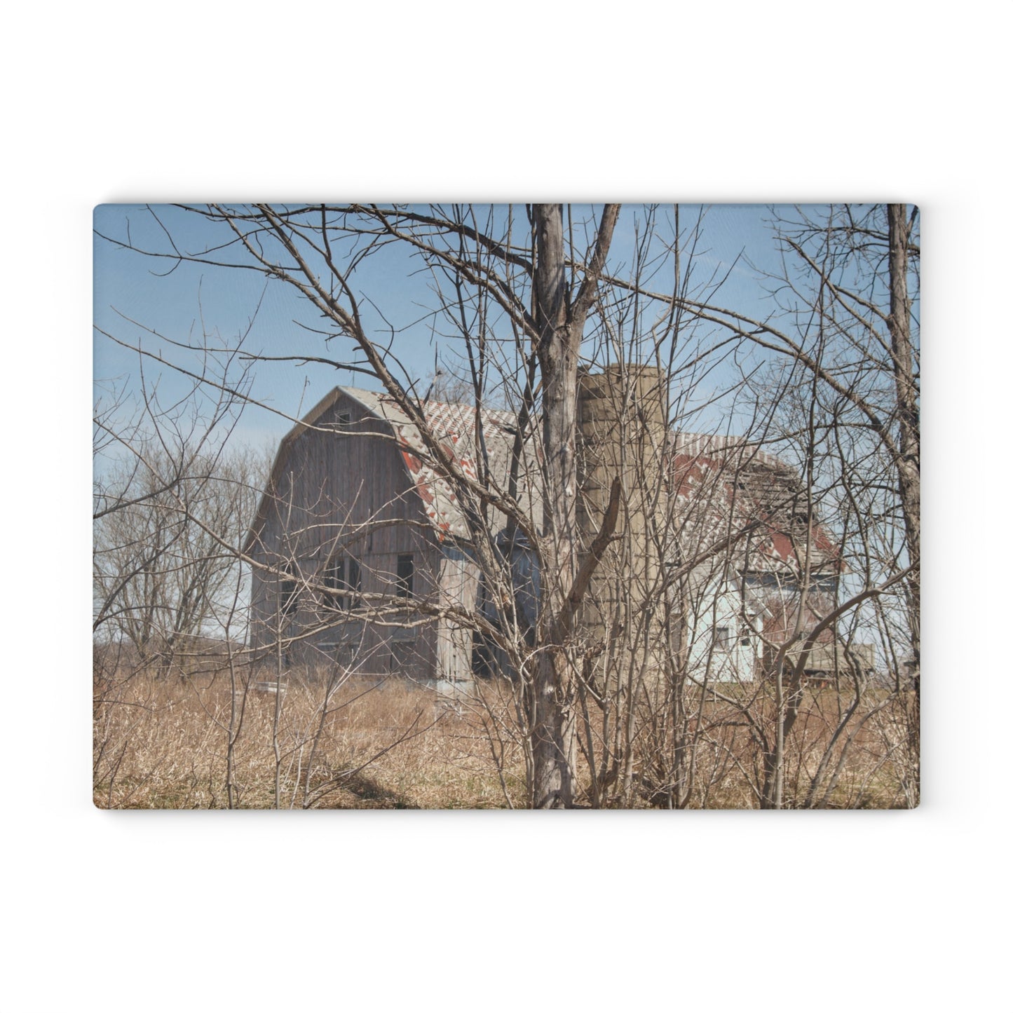 U R There Photography Hill Road Hidden Grey III Rustic Farmhouse Tempered-Glass Cutting Board