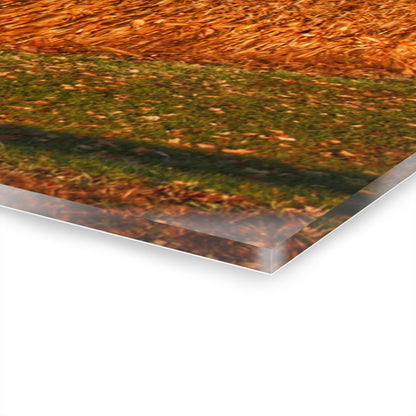 U R There Photography Lake Pleasant Reds I Rustic Farmhouse Acrylic Wall Print