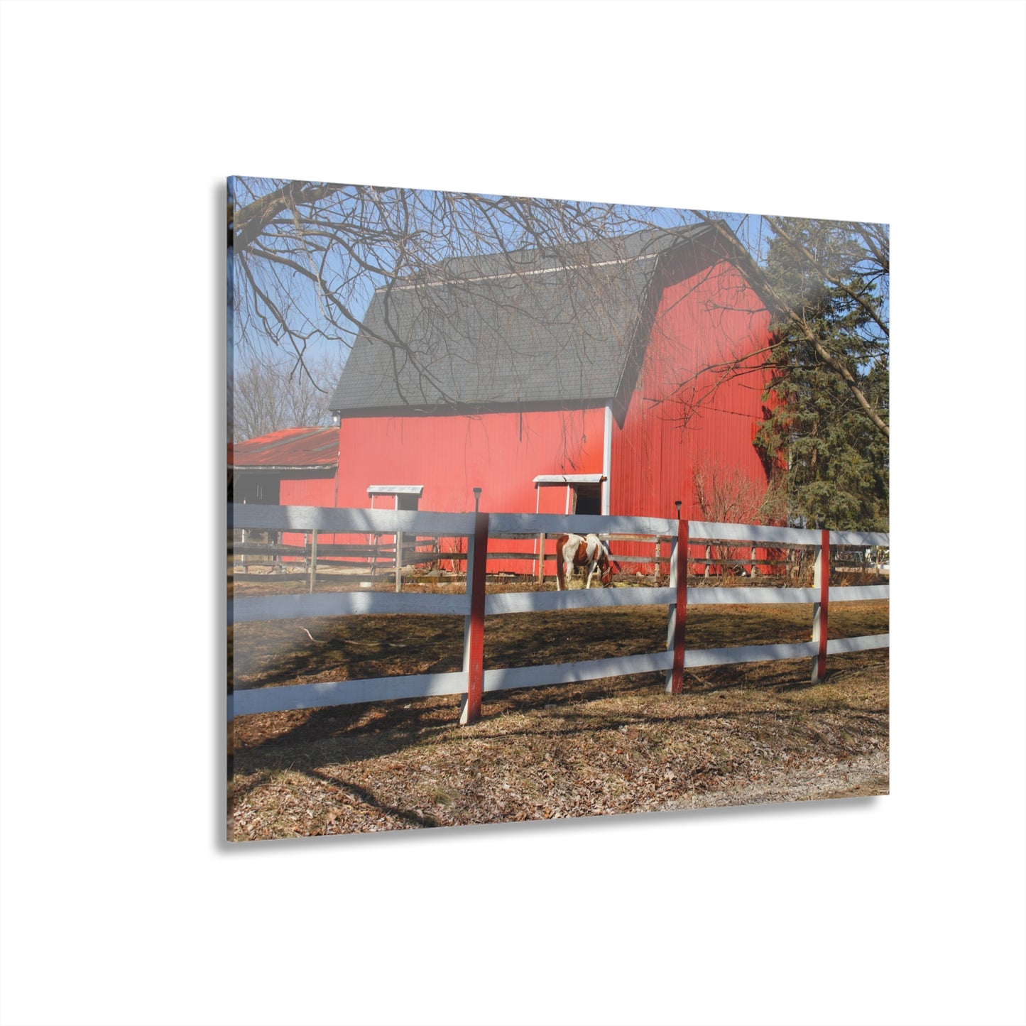 U R There Photography Wolcott Red and Filly Rustic Farmhouse Acrylic Wall Print
