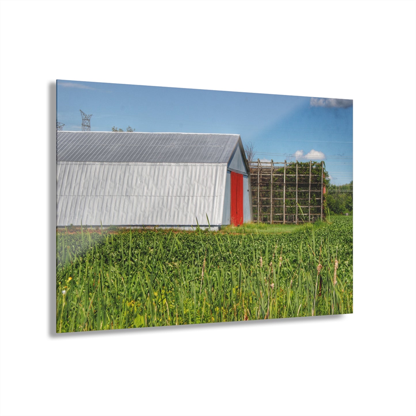 U R There Photography Montrose Farm II Rustic Farmhouse Acrylic Wall Print