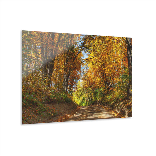 U R There Photography Harson Road in Fall I Rustic Farmhouse Acrylic Wall Print