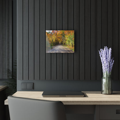 U R There Photography Harson Road in Fall II Rustic Farmhouse Acrylic Wall Print