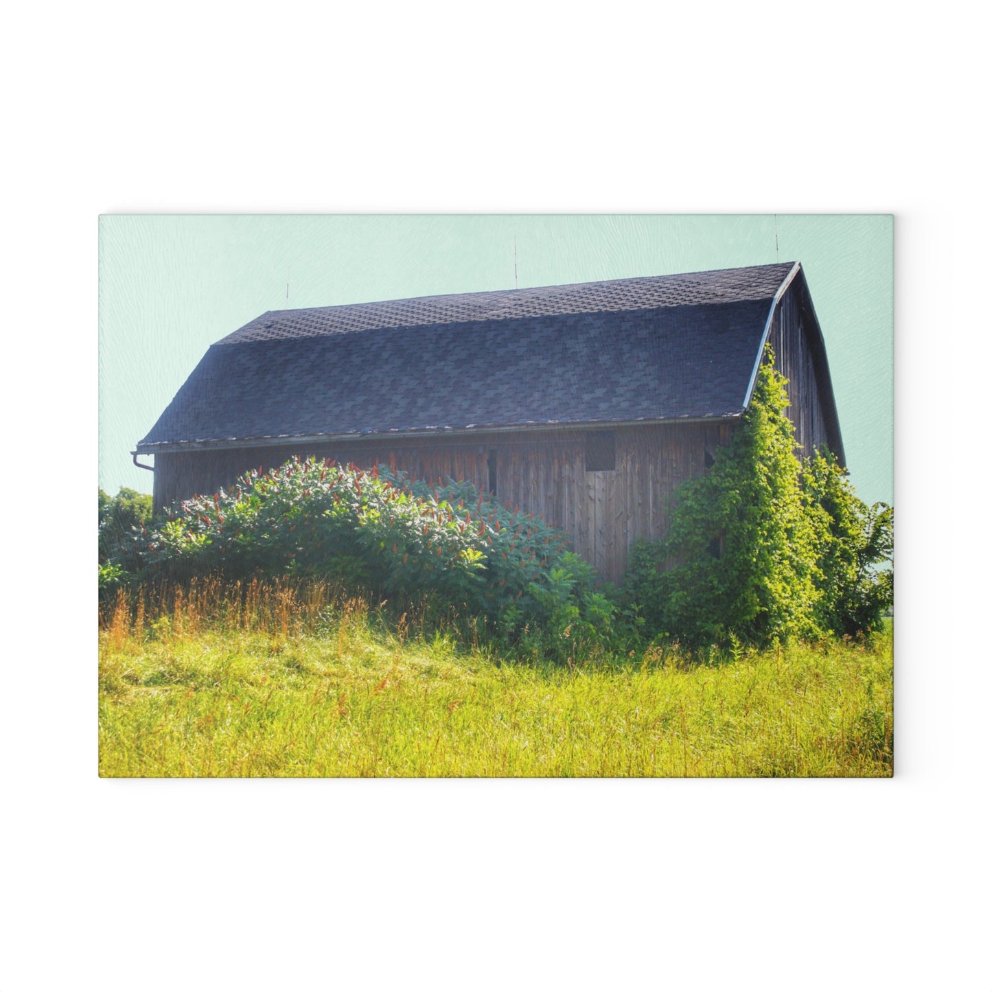 U R There Photography North Lake Pleasant Road Old Grey Rustic Farmhouse Tempered-Glass Cutting Board