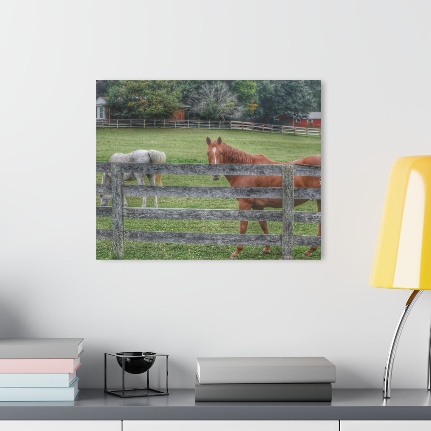 Barn Boutique Modern Farmhouse Acrylic Wall Print| Here's Looking at You