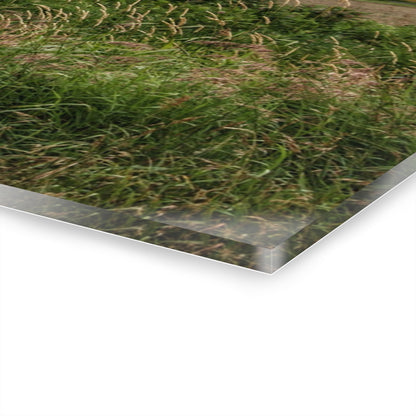 U R There Photography Mayville Road Red Quonset Rustic Farmhouse Acrylic Wall Print