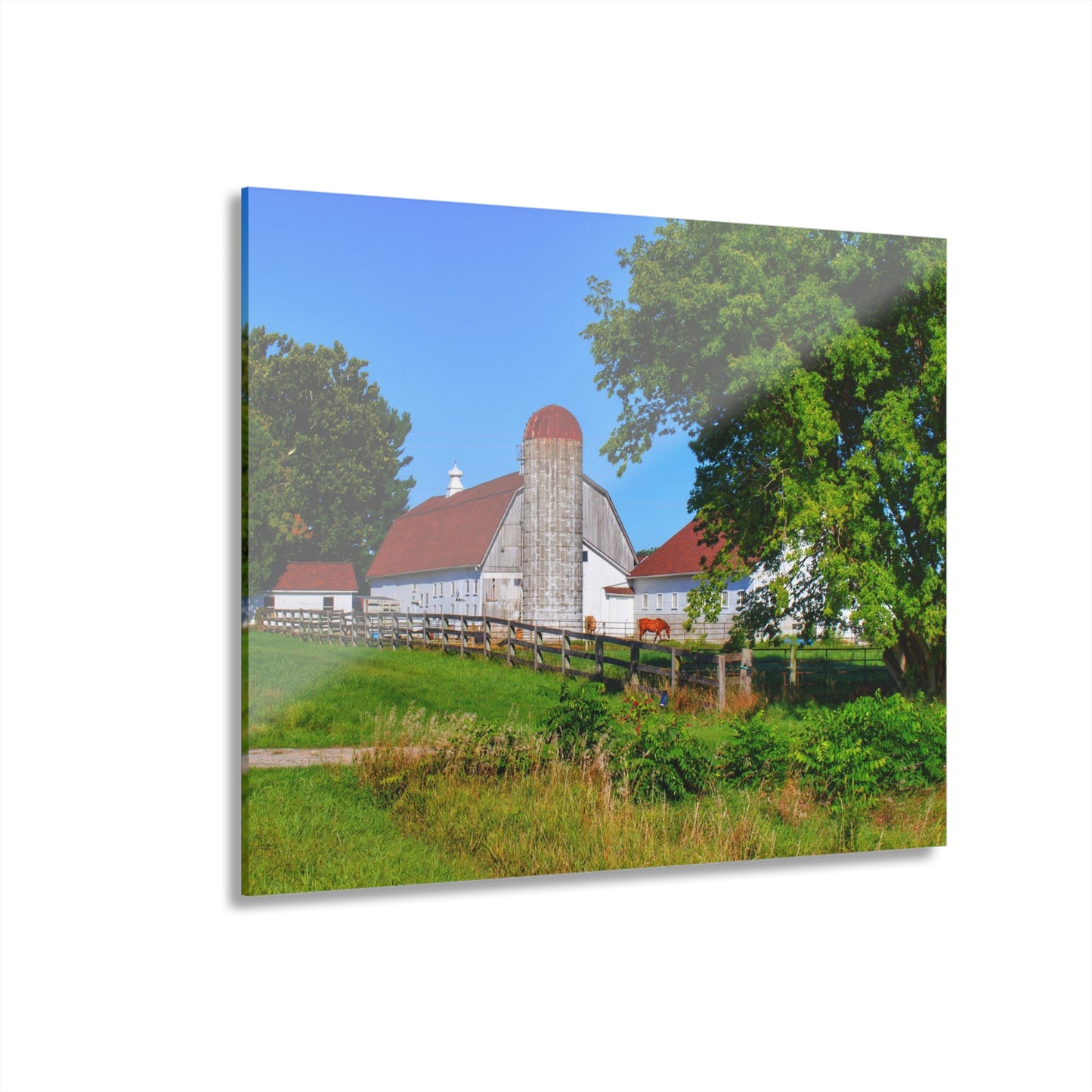 U R There Photography Vienna Roadside White Rustic Farmhouse Acrylic Wall Print