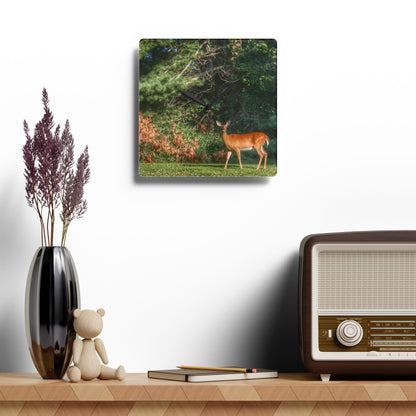 U R There Photography Mitchell Road Doe Rustic Farmhouse Acrylic Analog Wall Clock