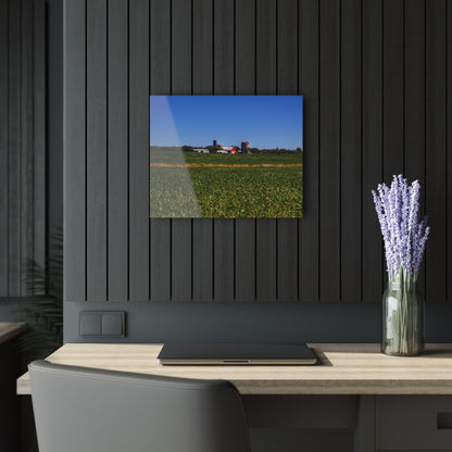 U R There Photography Otter Lake Road Farm Across the Field Rustic Farmhouse Acrylic Wall Print
