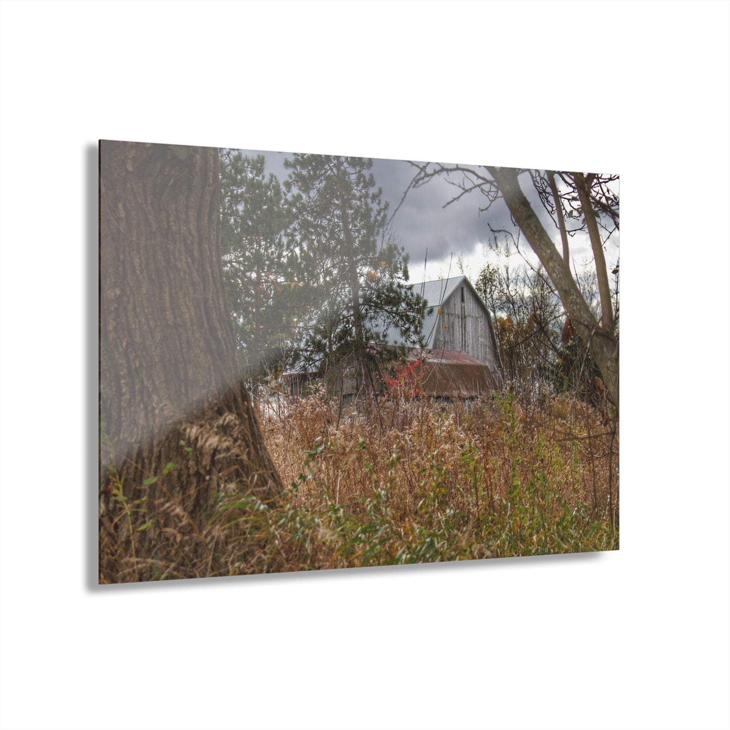 U R There Photography Booth Road Hidden Greys Rustic Farmhouse Acrylic Wall Print