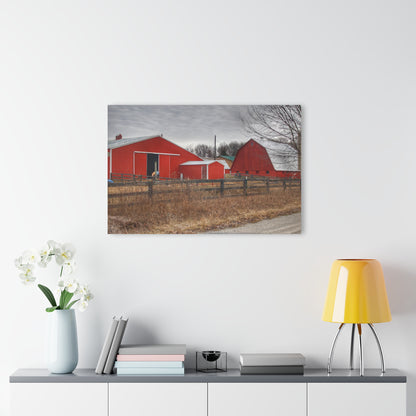 U R There Photography January Reds Rustic Farmhouse Acrylic Wall Print