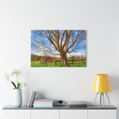 U R There Photography Delano Oak and Little Red Rustic Farmhouse Acrylic Wall Print