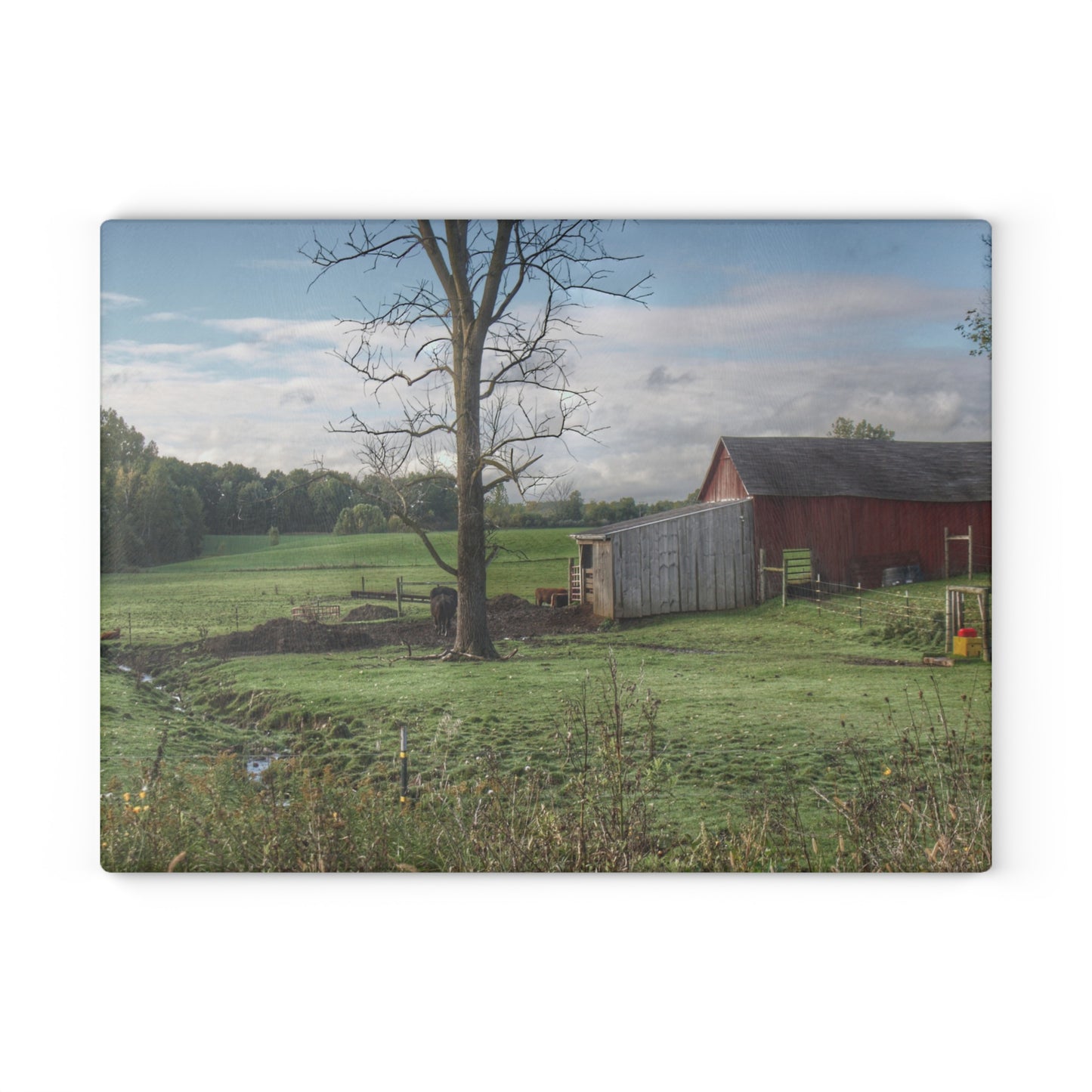 U R There Photography West Oregon Road Hidden Red III Rustic Farmhouse Tempered-Glass Cutting Board