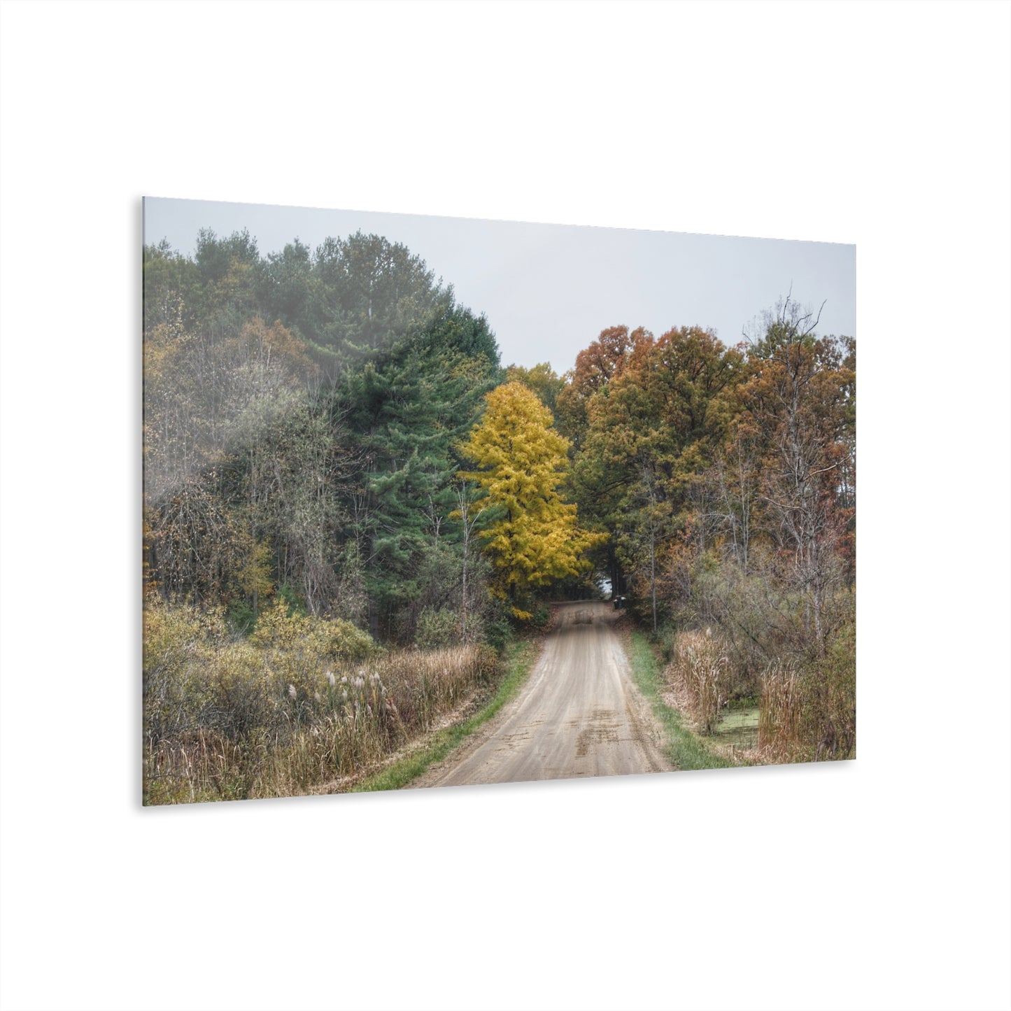 U R There Photography Country Roads in Dryden I Rustic Farmhouse Acrylic Wall Print