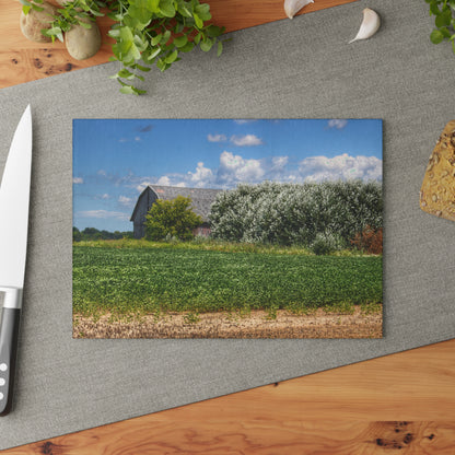 U R There Photography Lake Road Grey Rustic Farmhouse Tempered-Glass Cutting Board