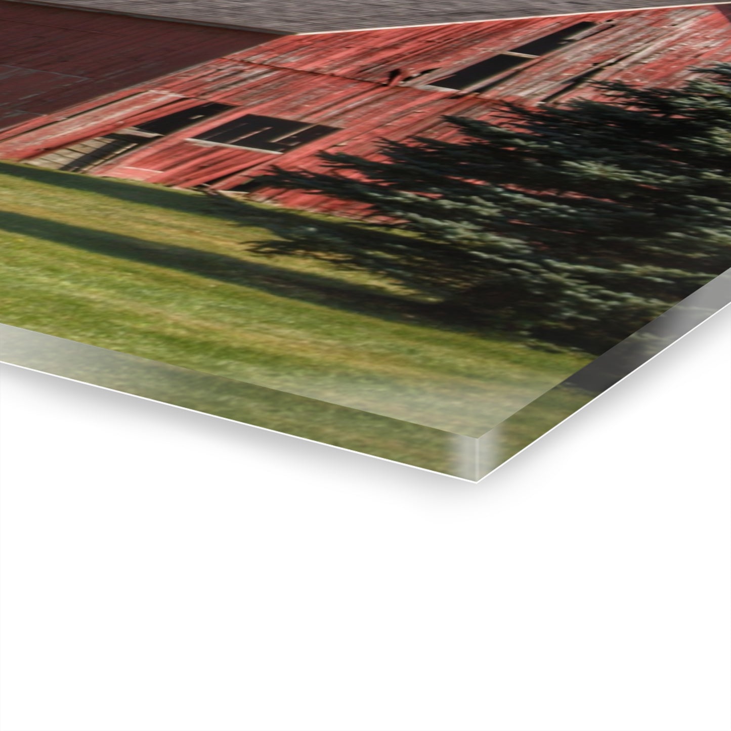 U R There Photography Havens Road Red Among the Pines Rustic Farmhouse Acrylic Wall Print