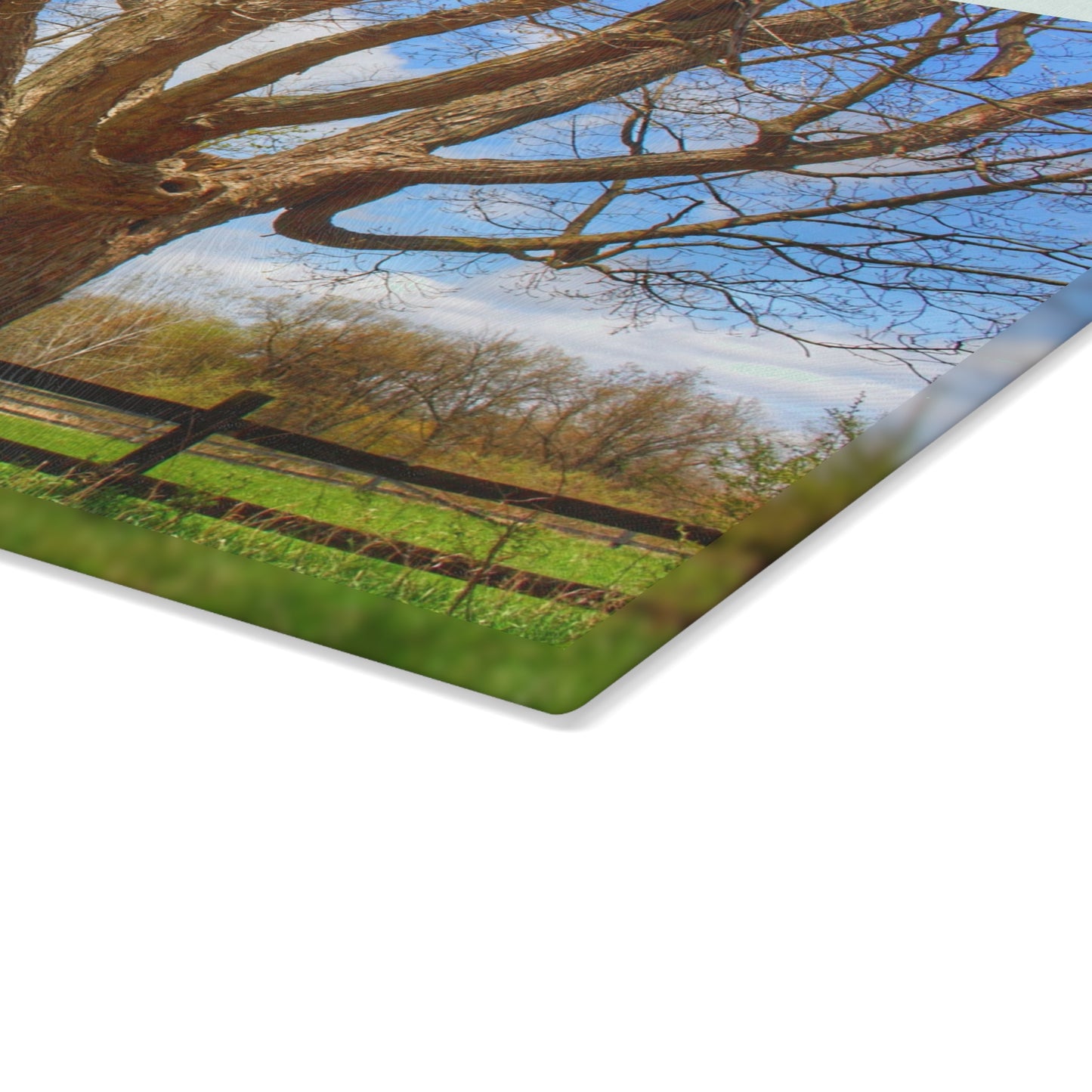 U R There Photography Delano Oak and Little Red Rustic Farmhouse Tempered-Glass Cutting Board