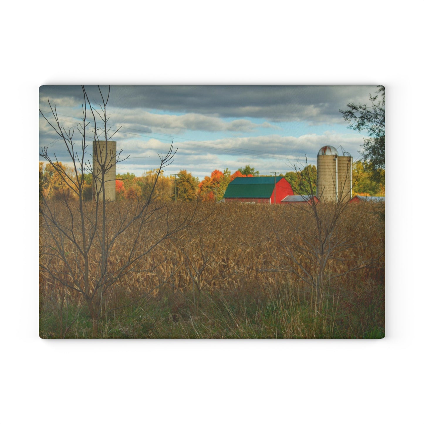 U R There Photography Beyond the Harvest Corn II Rustic Farmhouse Tempered-Glass Cutting Board