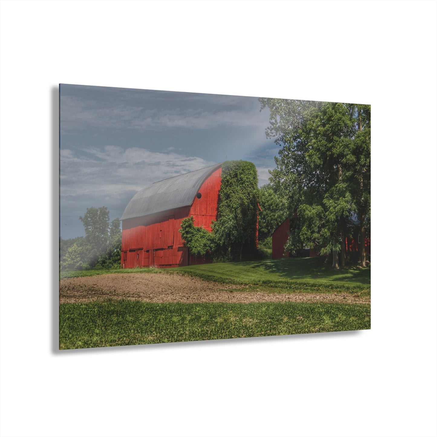 U R There Photography Catlin Road Red I Rustic Farmhouse Acrylic Wall Print
