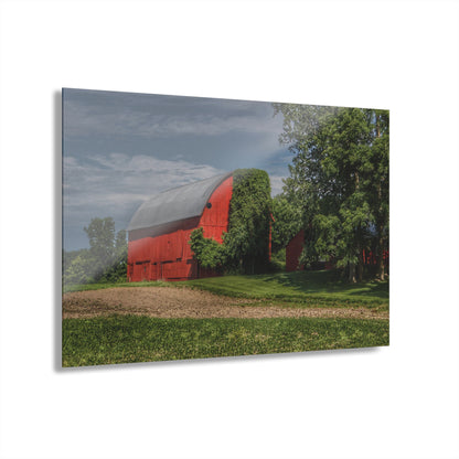 U R There Photography Catlin Road Red I Rustic Farmhouse Acrylic Wall Print