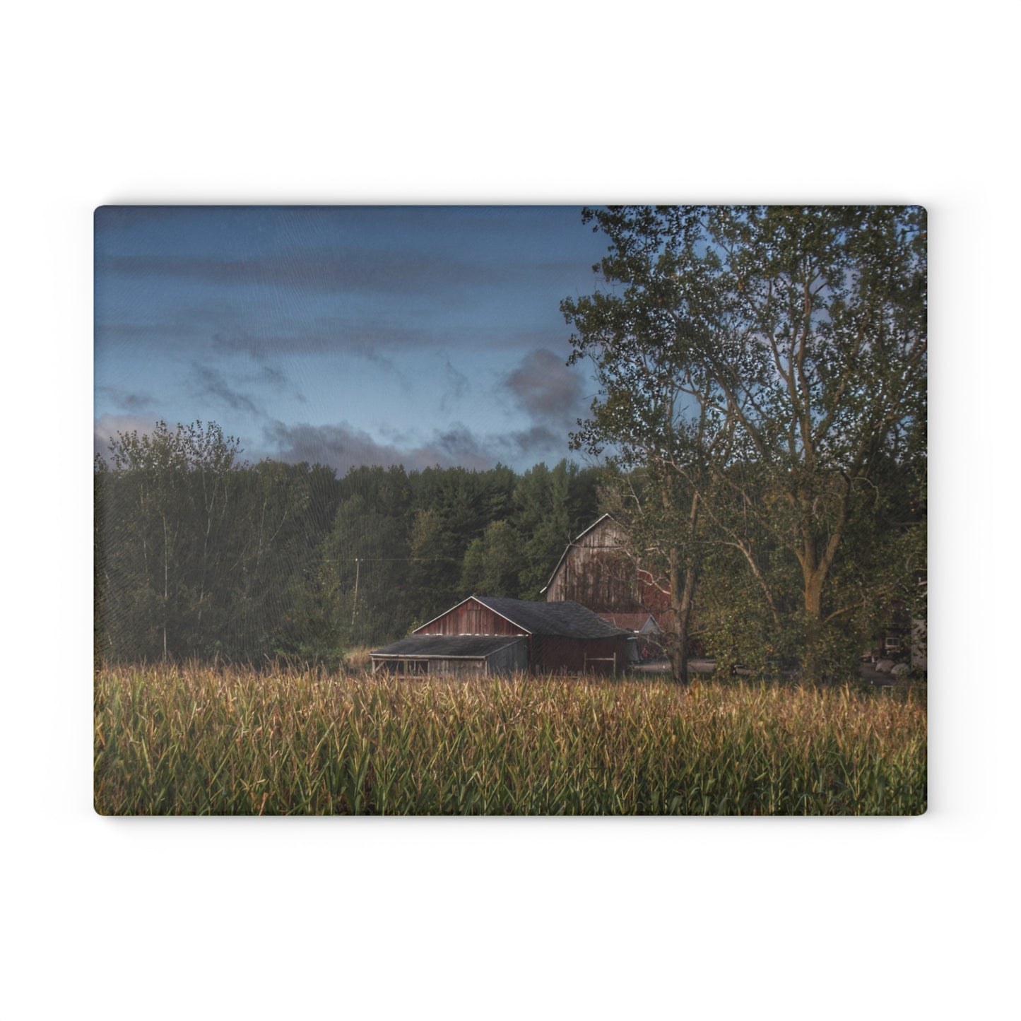 U R There Photography West Oregon Road Hidden Red II Rustic Farmhouse Tempered-Glass Cutting Board