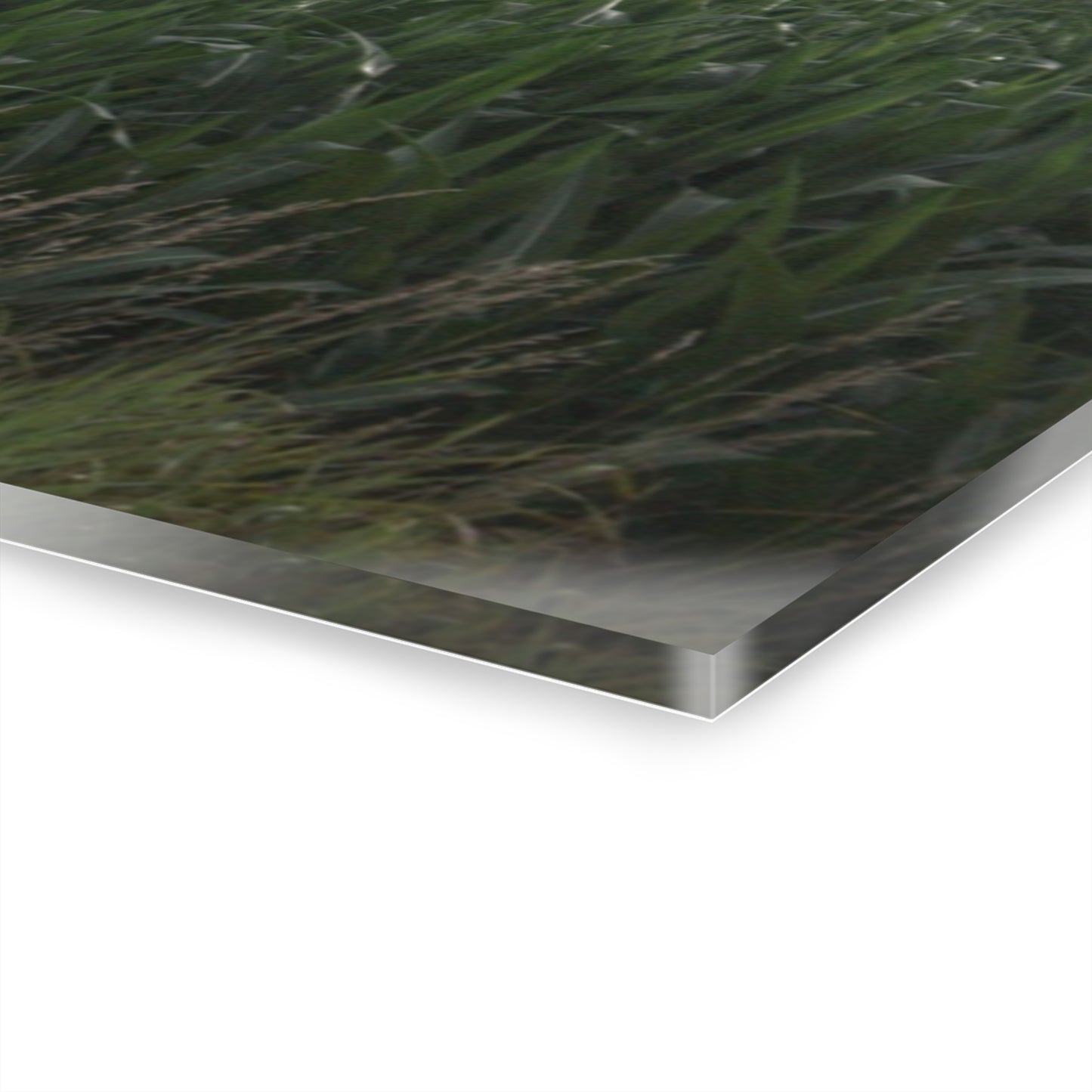 U R There Photography Genesee Road White Rustic Farmhouse Acrylic Wall Print