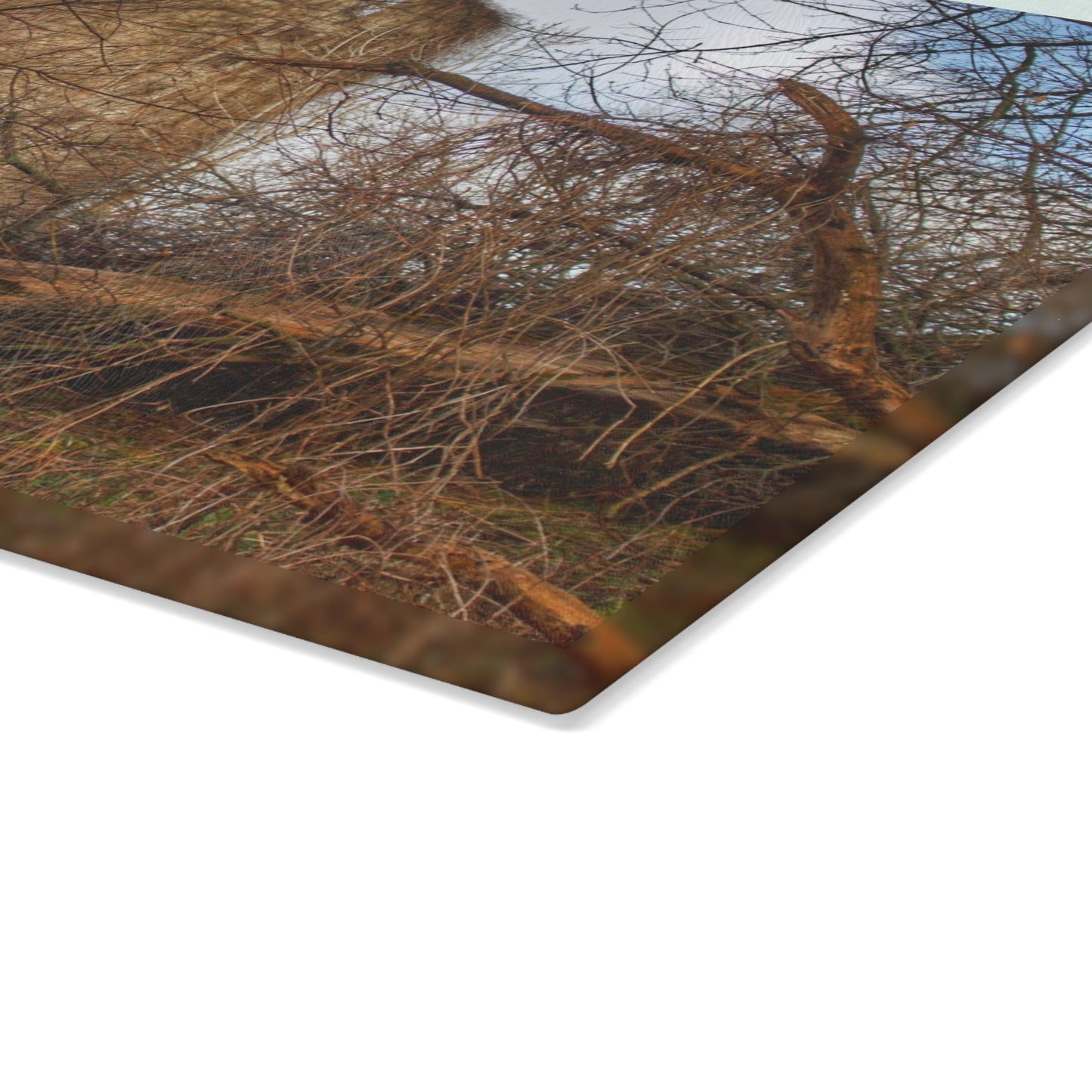 U R There Photography Hidden Silo of Fostoria Road Rustic Farmhouse Tempered-Glass Cutting Board