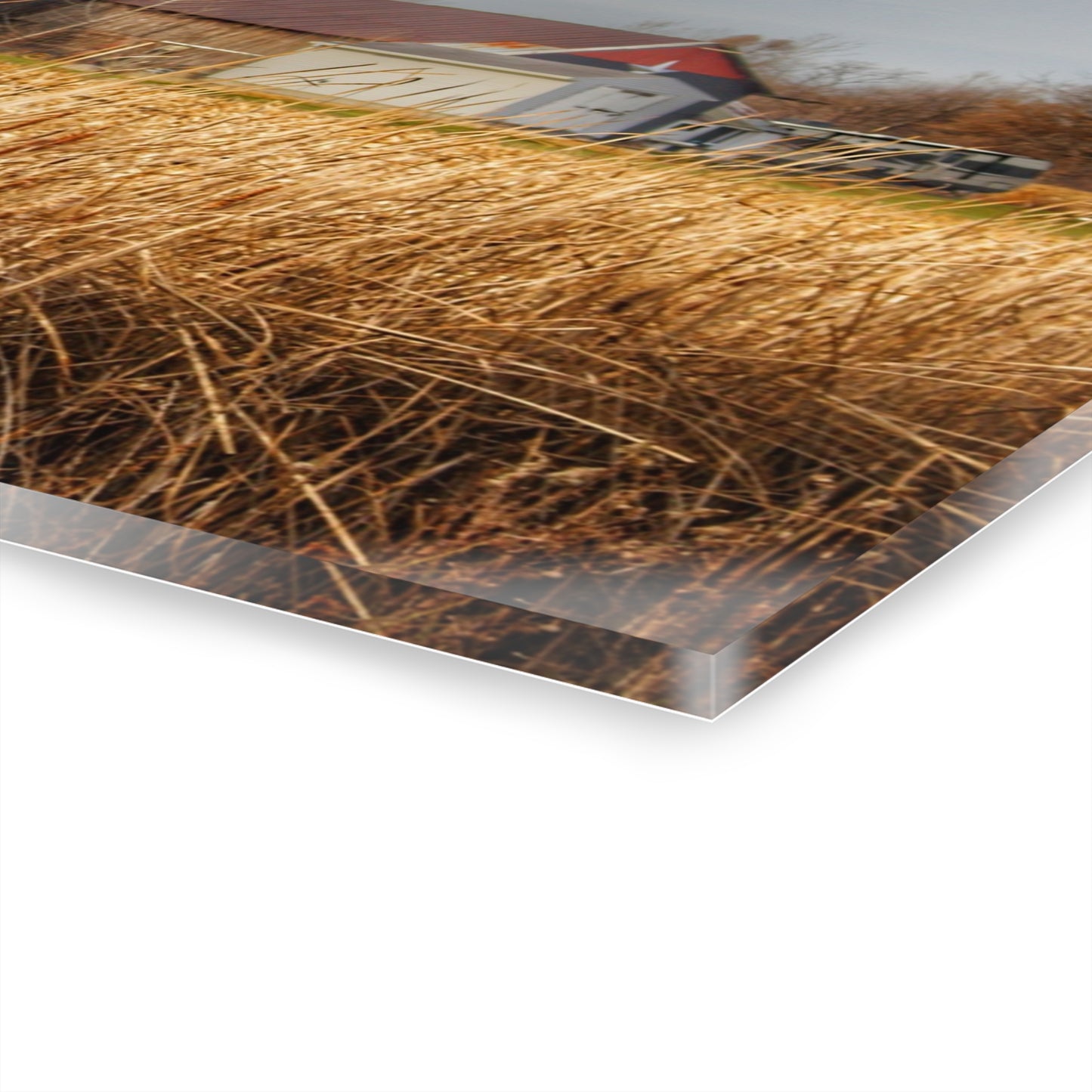 U R There Photography North Center Road Grey Rustic Farmhouse Acrylic Wall Print