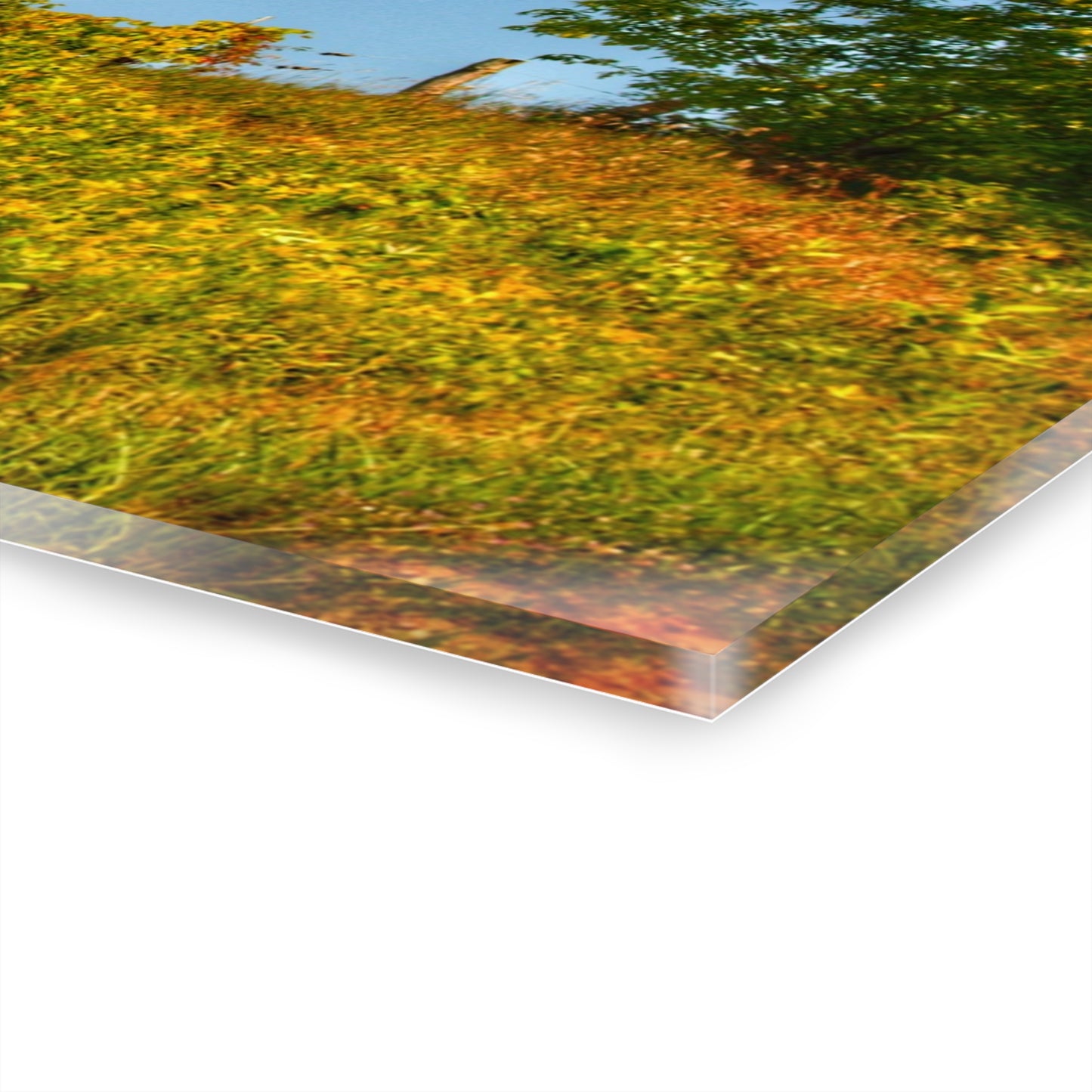 U R There Photography Hilltop High Grey Rustic Farmhouse Acrylic Wall Print