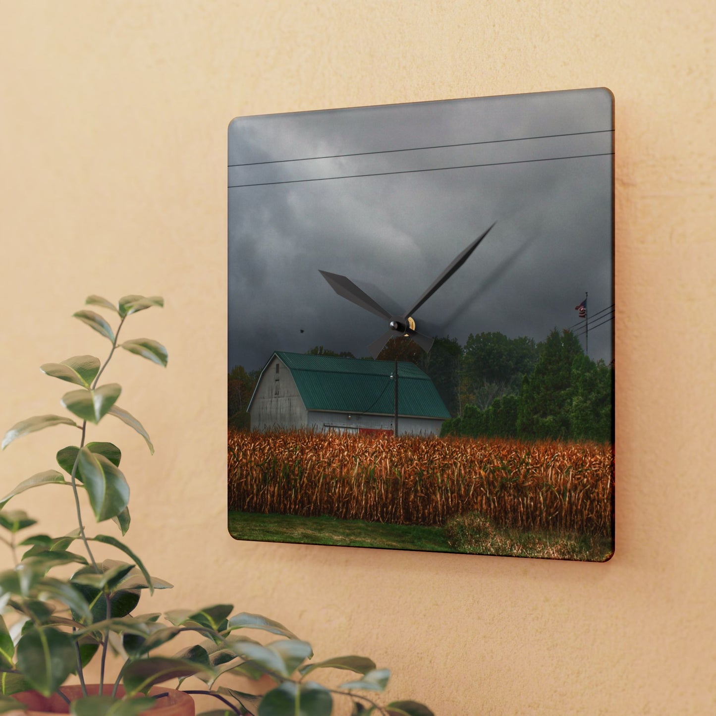 U R There Photography Saginaw Road White Rustic Farmhouse Acrylic Analog Wall Clock