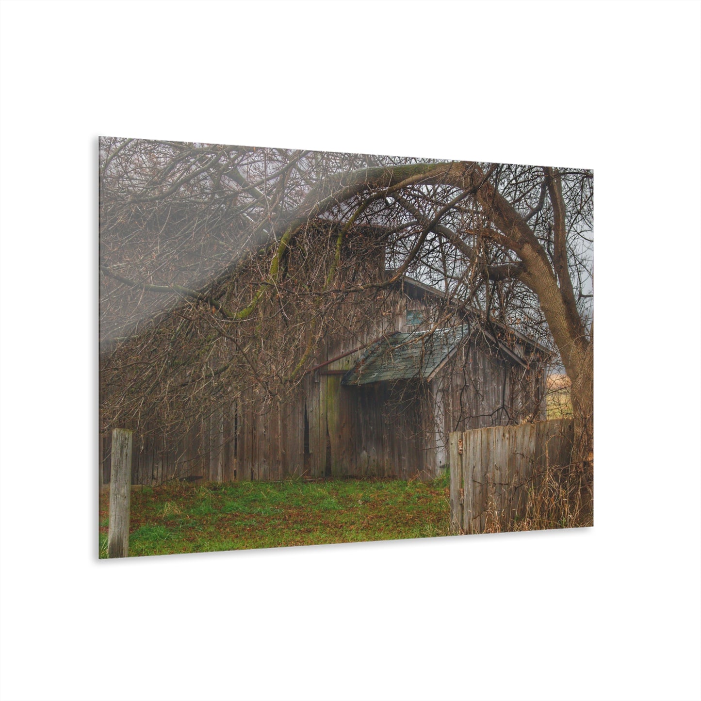 U R There Photography Bowers Road Greys III Rustic Farmhouse Acrylic Wall Print