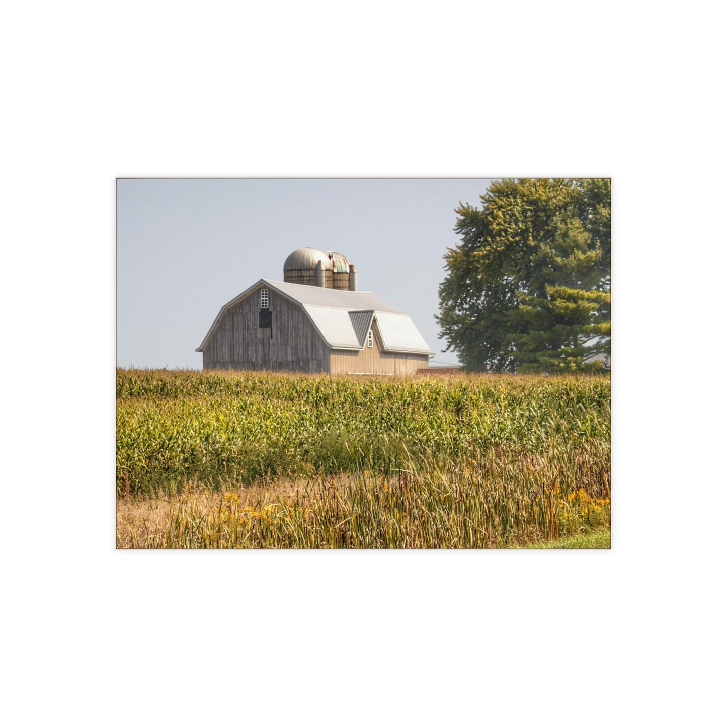 U R There Photography Beyond the September Corn on Swaffer Rustic Farmhouse Decorative Ceramic Tile