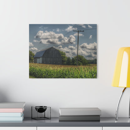 U R There Photography Grey Barn in a Cornfield Rustic Farmhouse Acrylic Wall Print