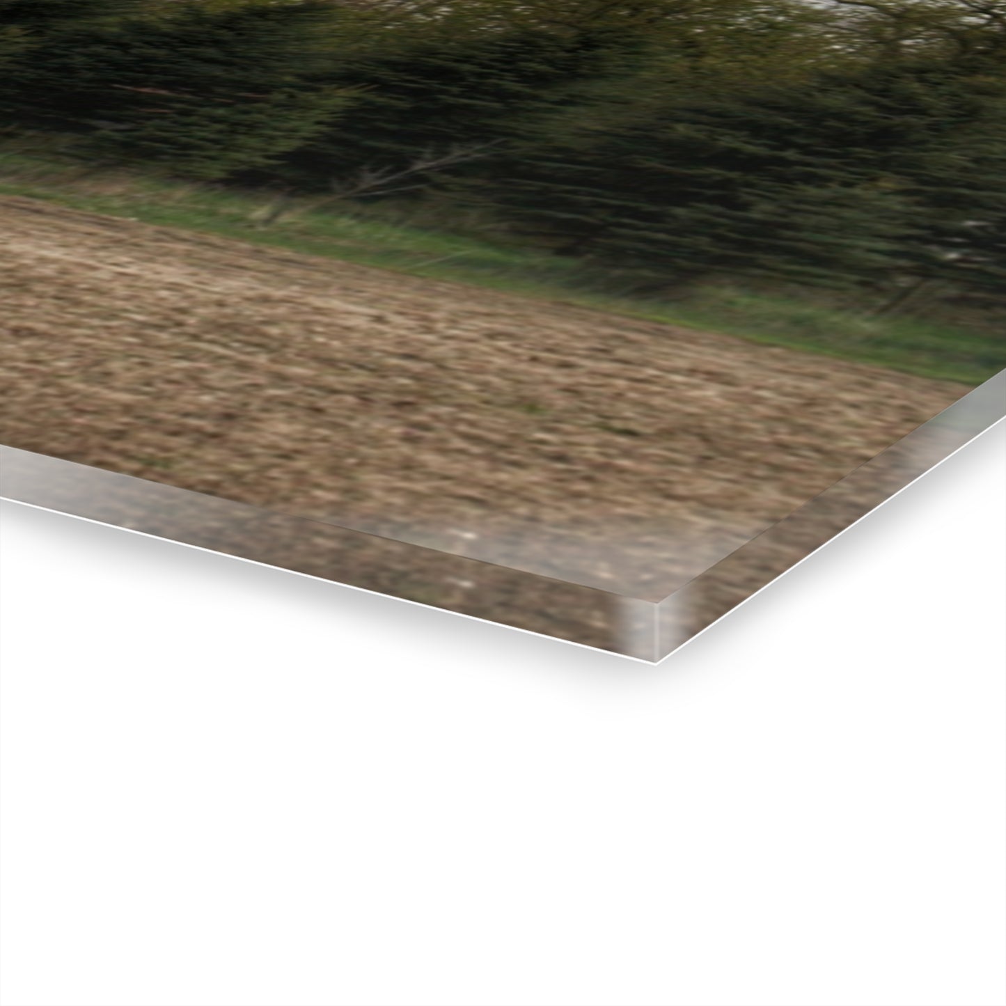 U R There Photography Sandusky Grey in the Pines Rustic Farmhouse Acrylic Wall Print