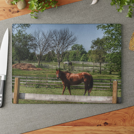 U R There Photography Summer Road Ponies Rustic Farmhouse Tempered-Glass Cutting Board