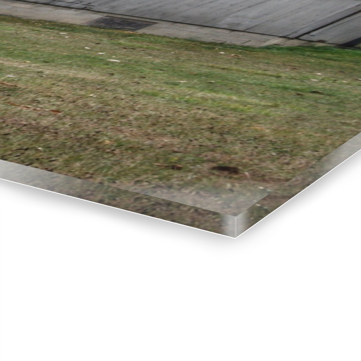 U R There Photography Milliman Road Grey Rustic Farmhouse Acrylic Wall Print