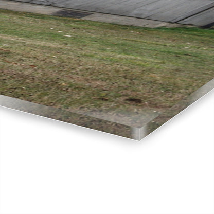 U R There Photography Milliman Road Grey Rustic Farmhouse Acrylic Wall Print