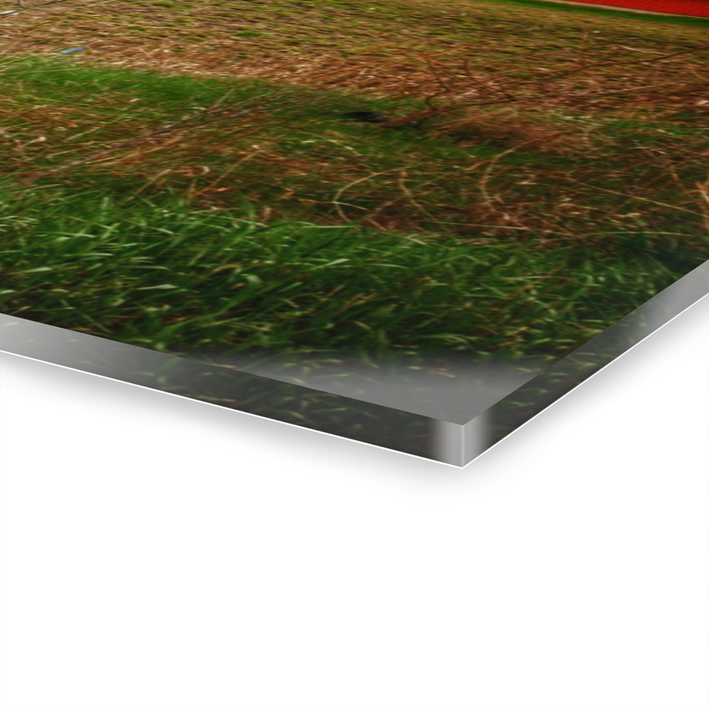 U R There Photography Fostoria Road Quonset Rustic Farmhouse Acrylic Wall Print