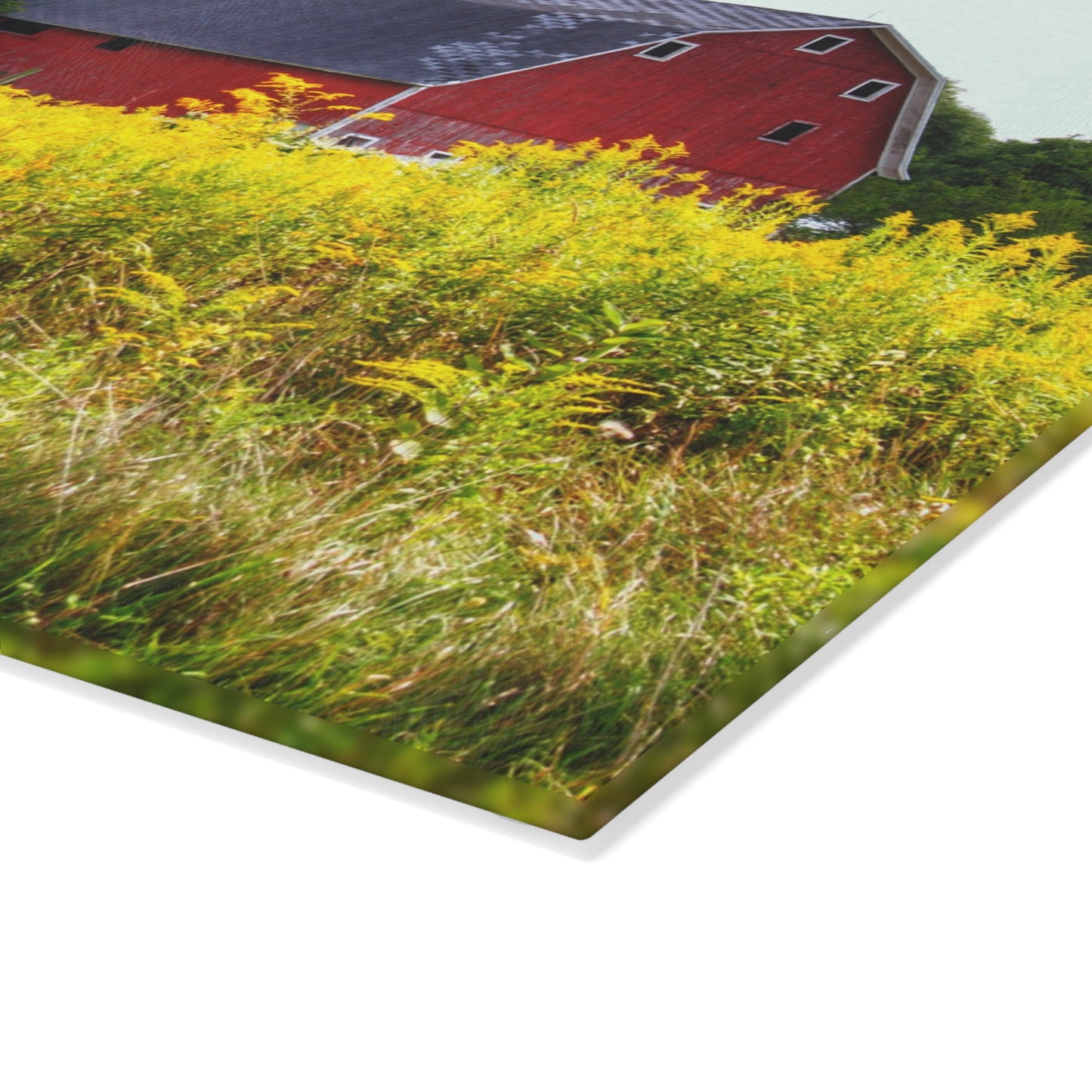 U R There Photography Starr Court Red II Rustic Farmhouse Tempered-Glass Cutting Board
